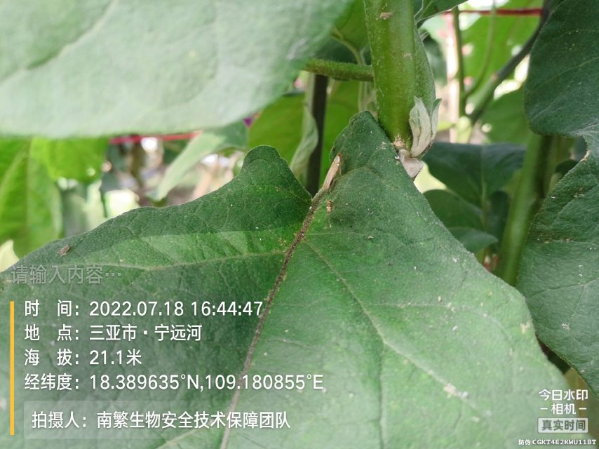 请输入内容…