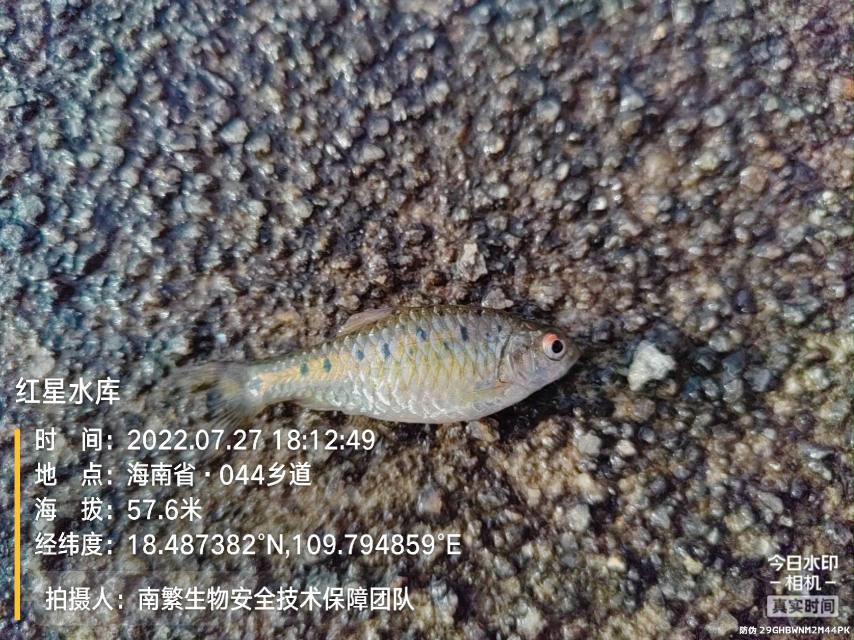 红星水库