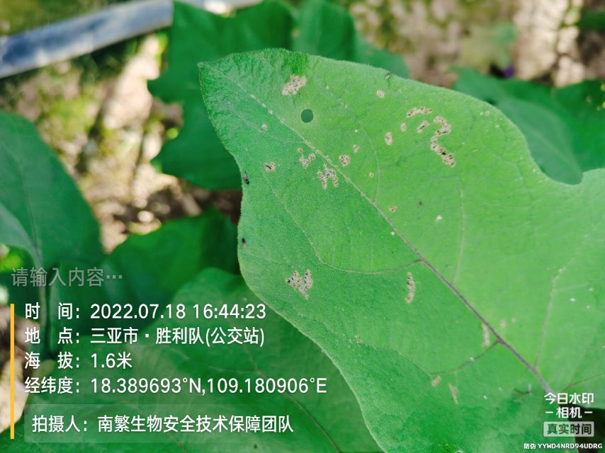 请输入内容…