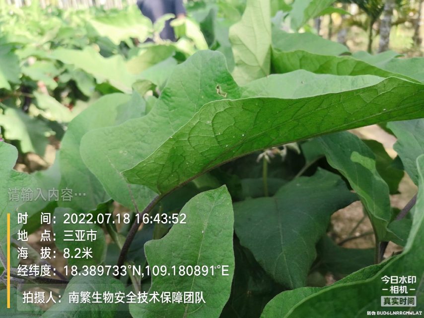 请输入内容…