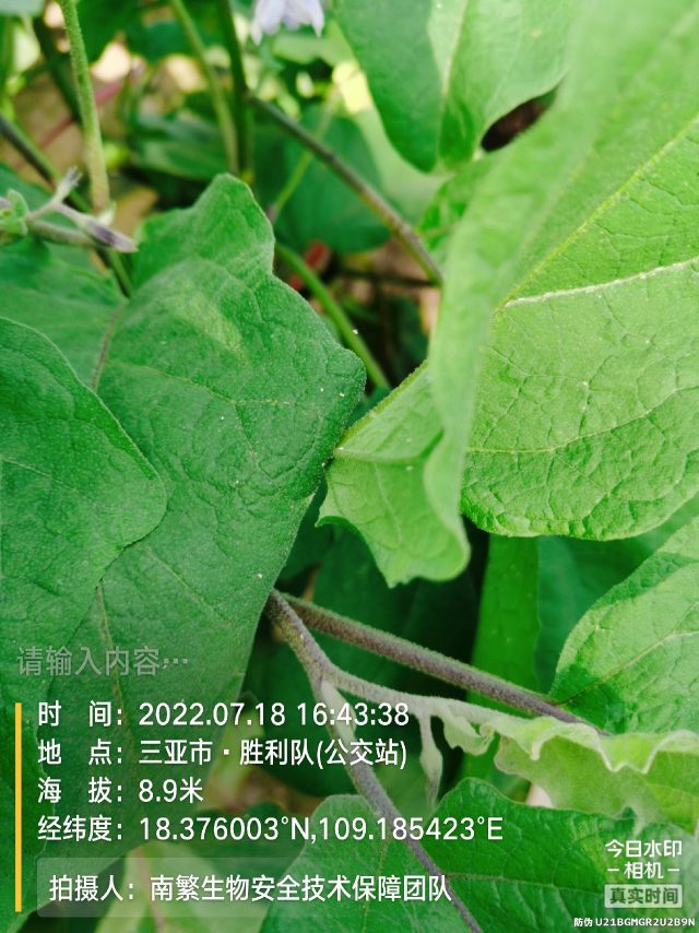 请输入内容…