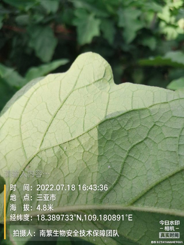 请输入内容…
