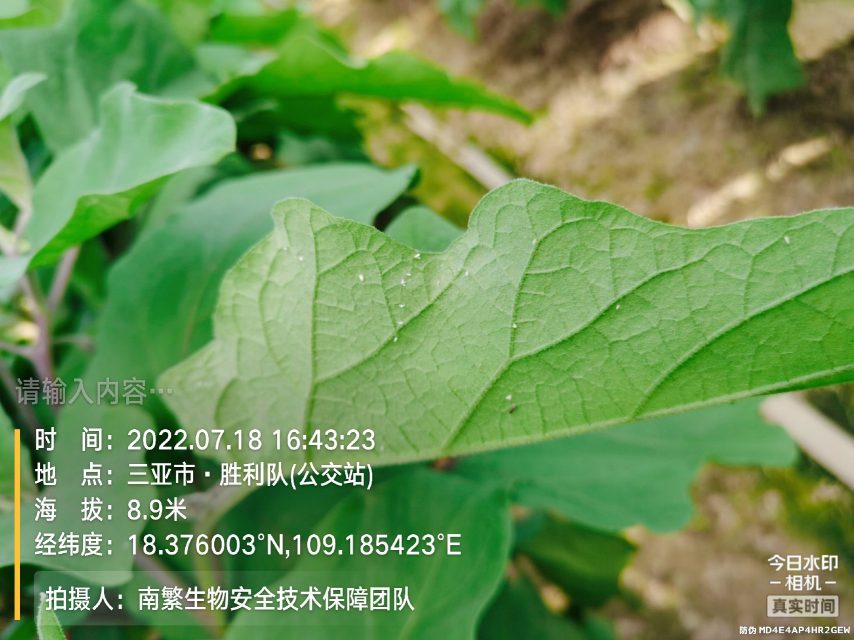 请输入内容…