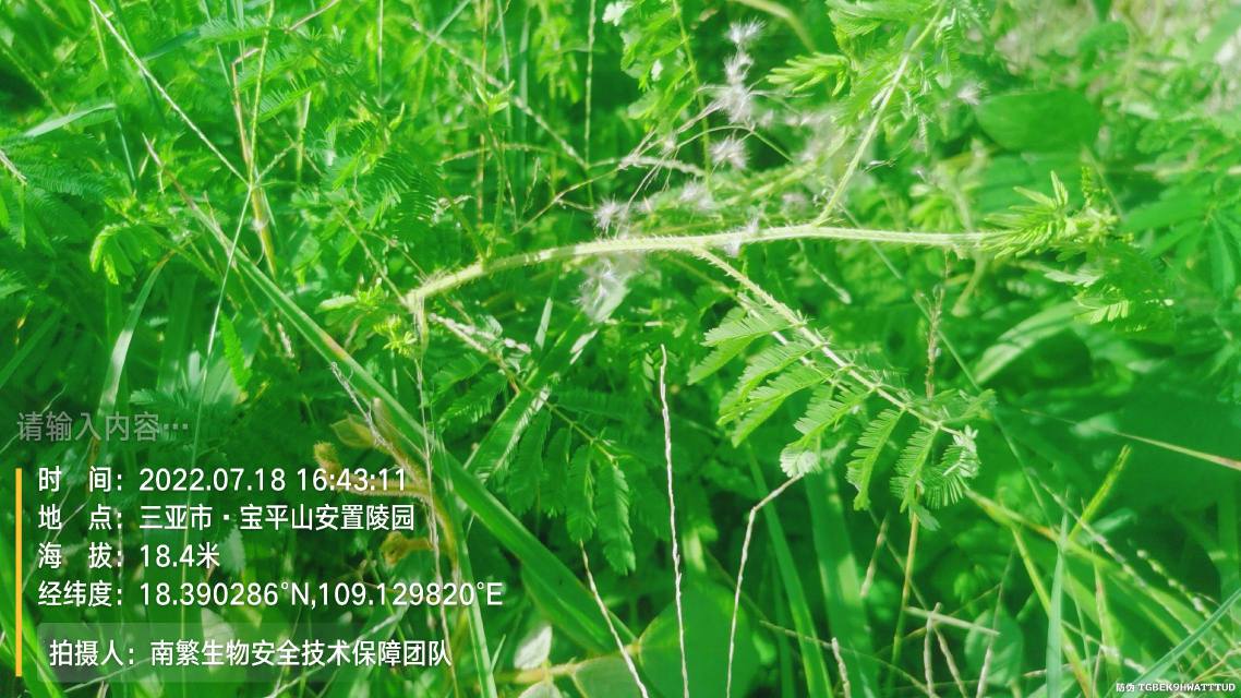 请输入内容…