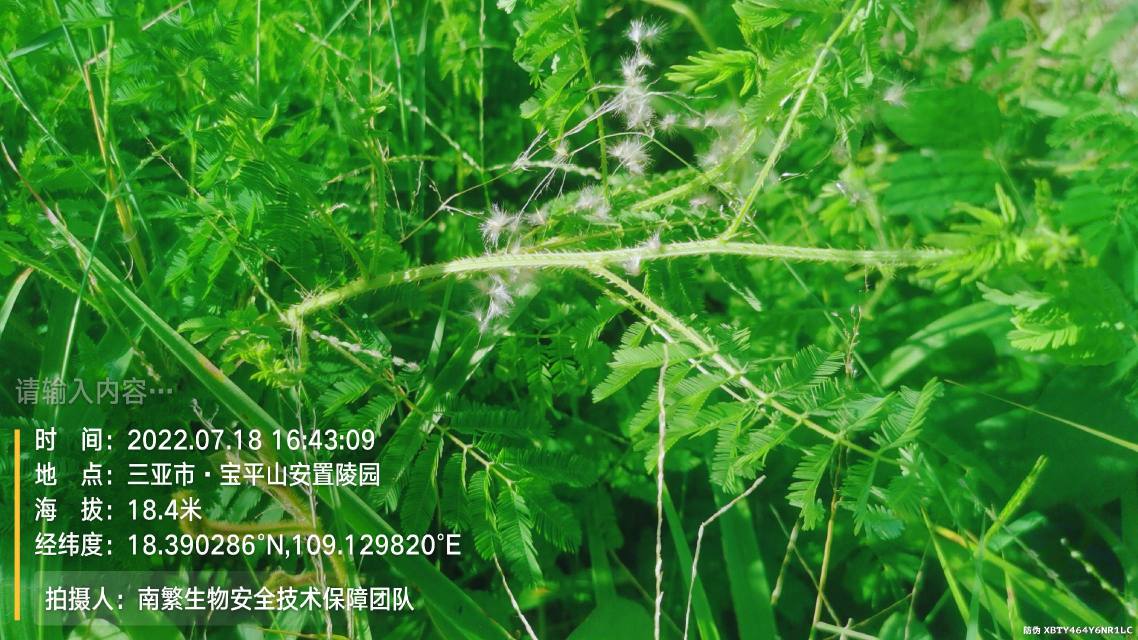 请输入内容…