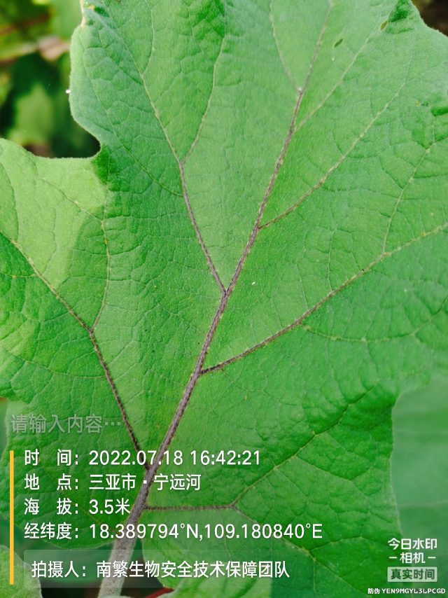 请输入内容…