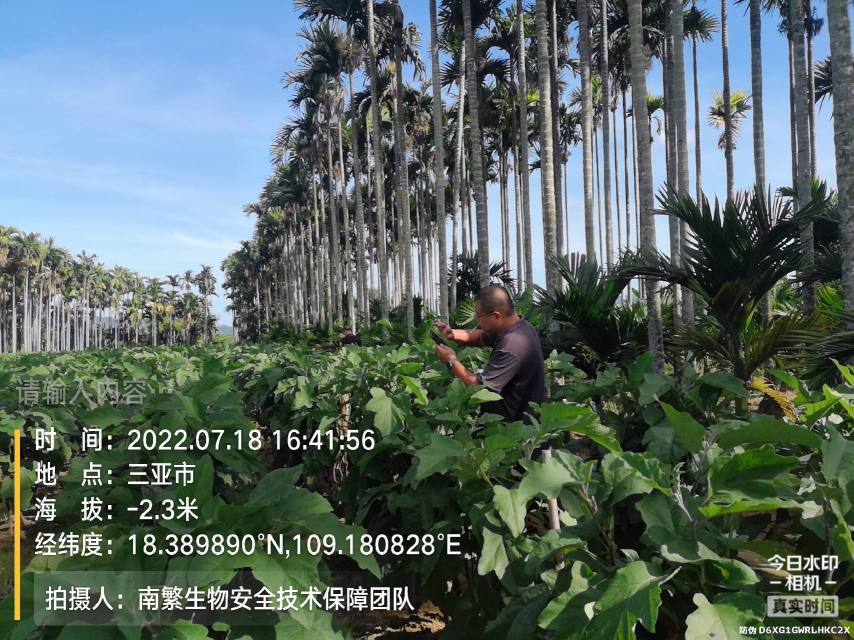 请输入内容…