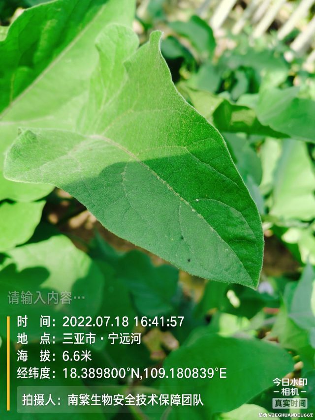 请输入内容…