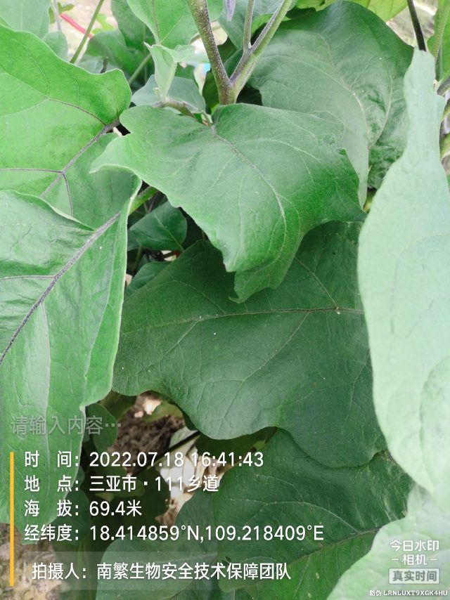 请输入内容…
