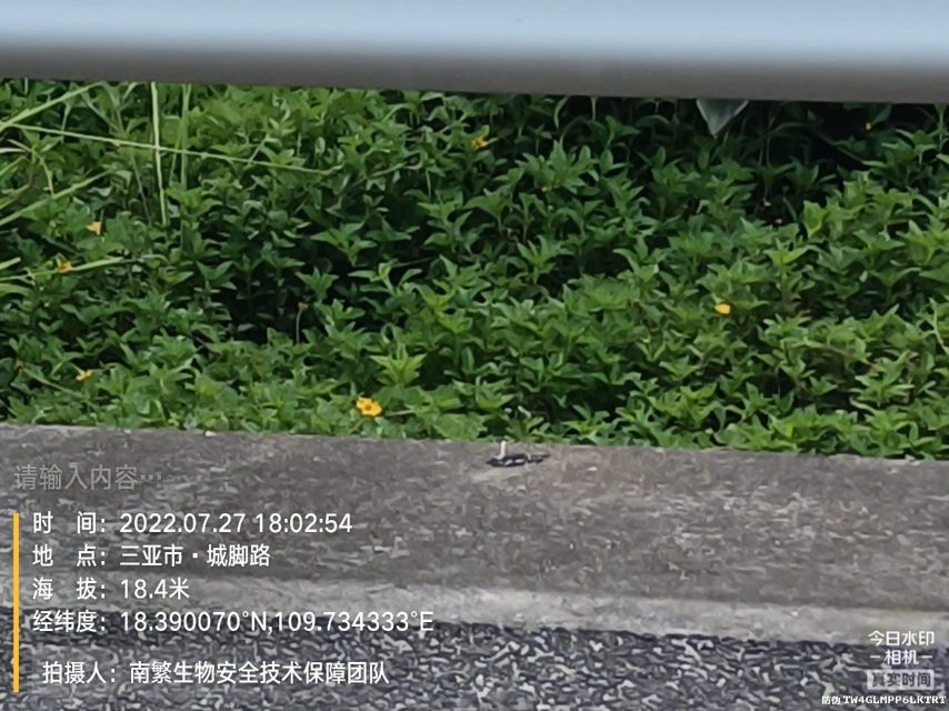 请输入内容…