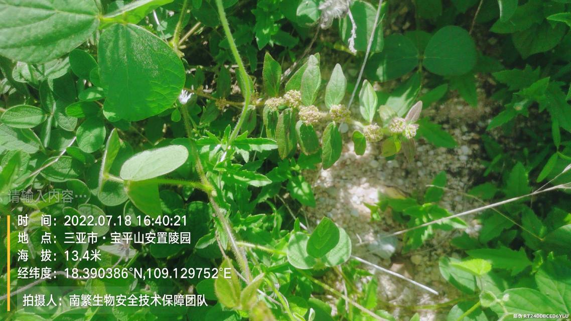 请输入内容…