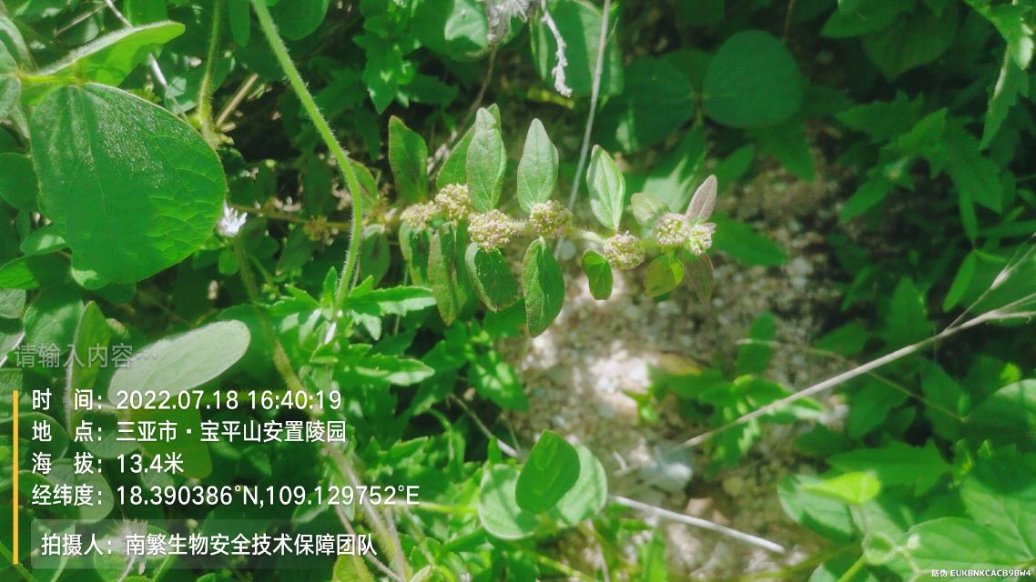 请输入内容…