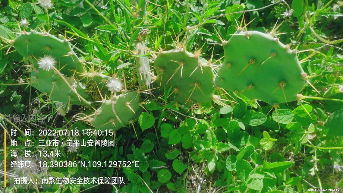 请输入内容…
