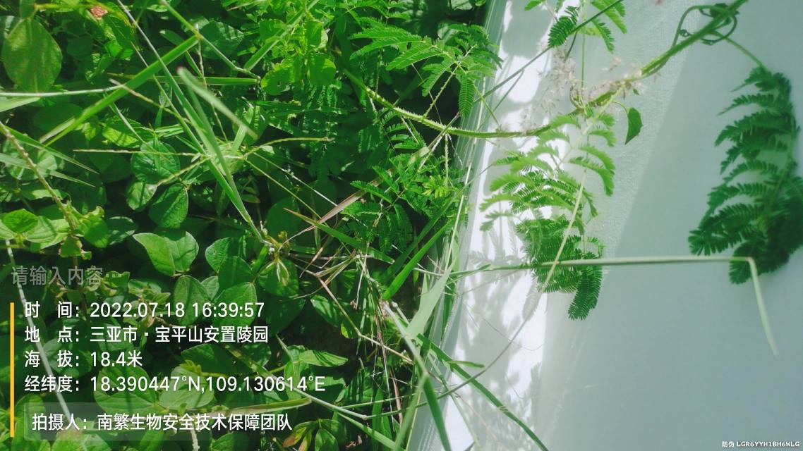 请输入内容…