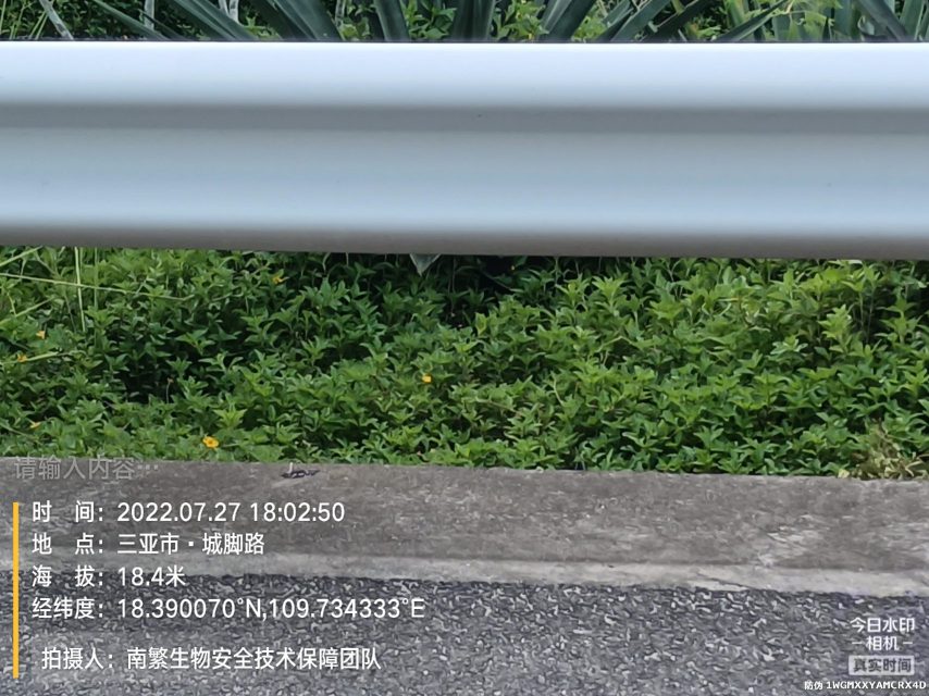 请输入内容…
