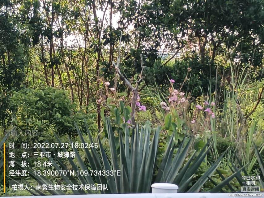 请输入内容…