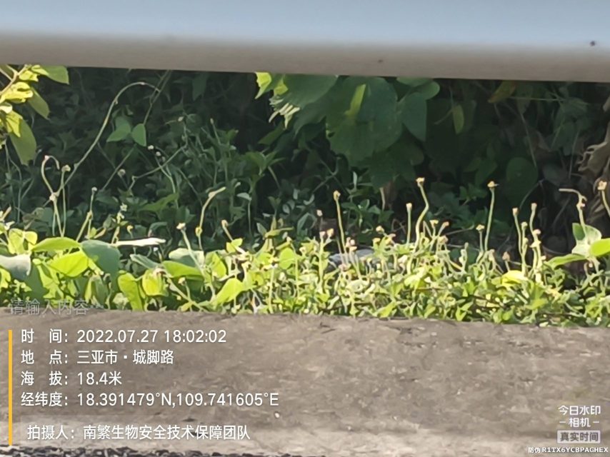 请输入内容…