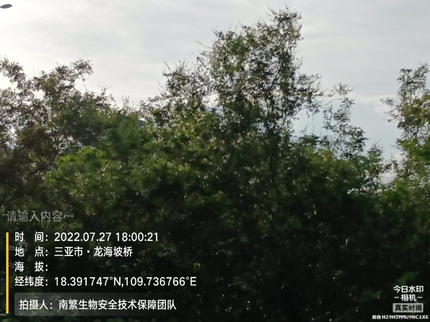请输入内容…