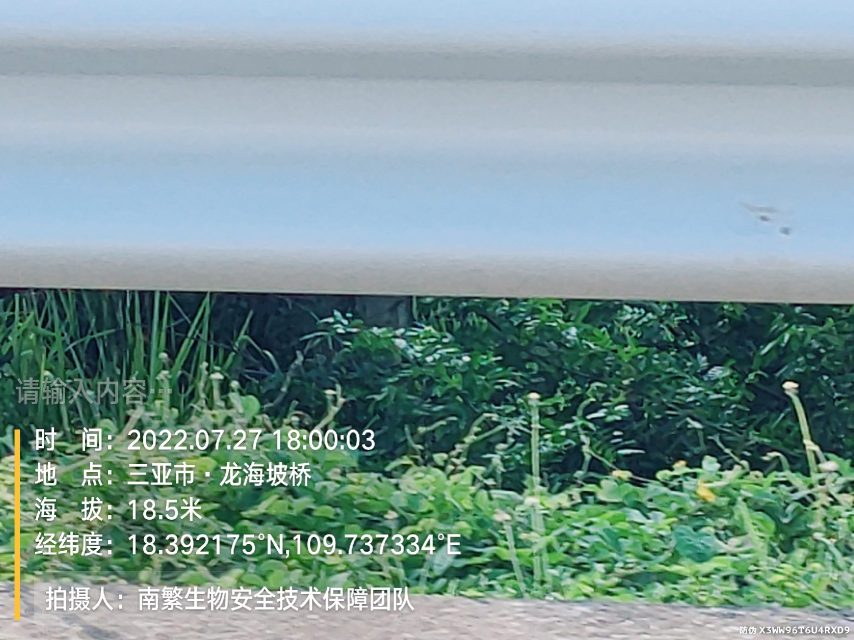 请输入内容…