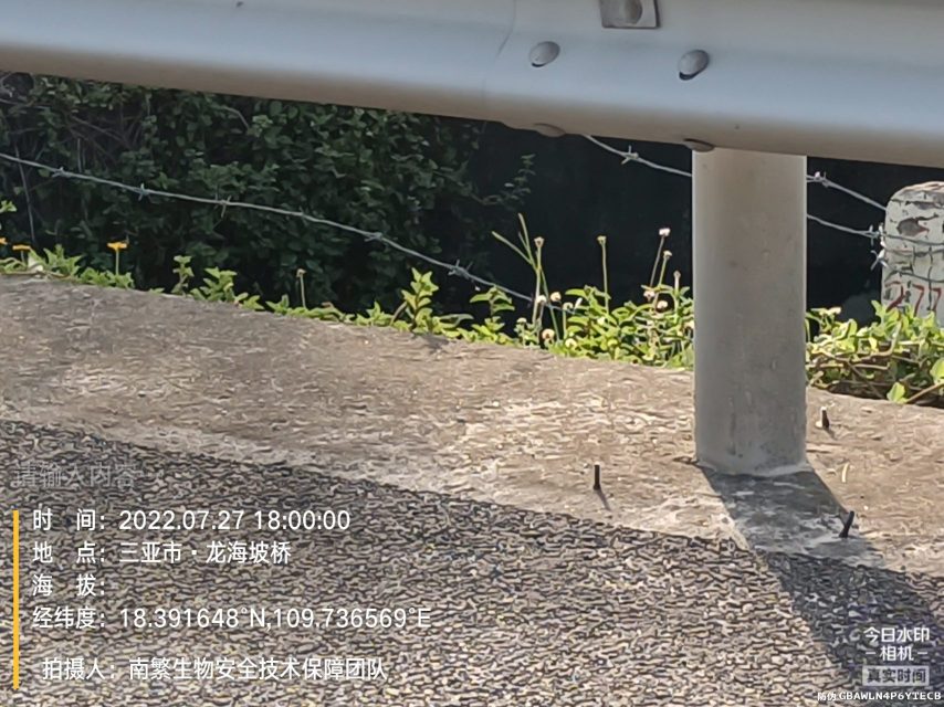 请输入内容…