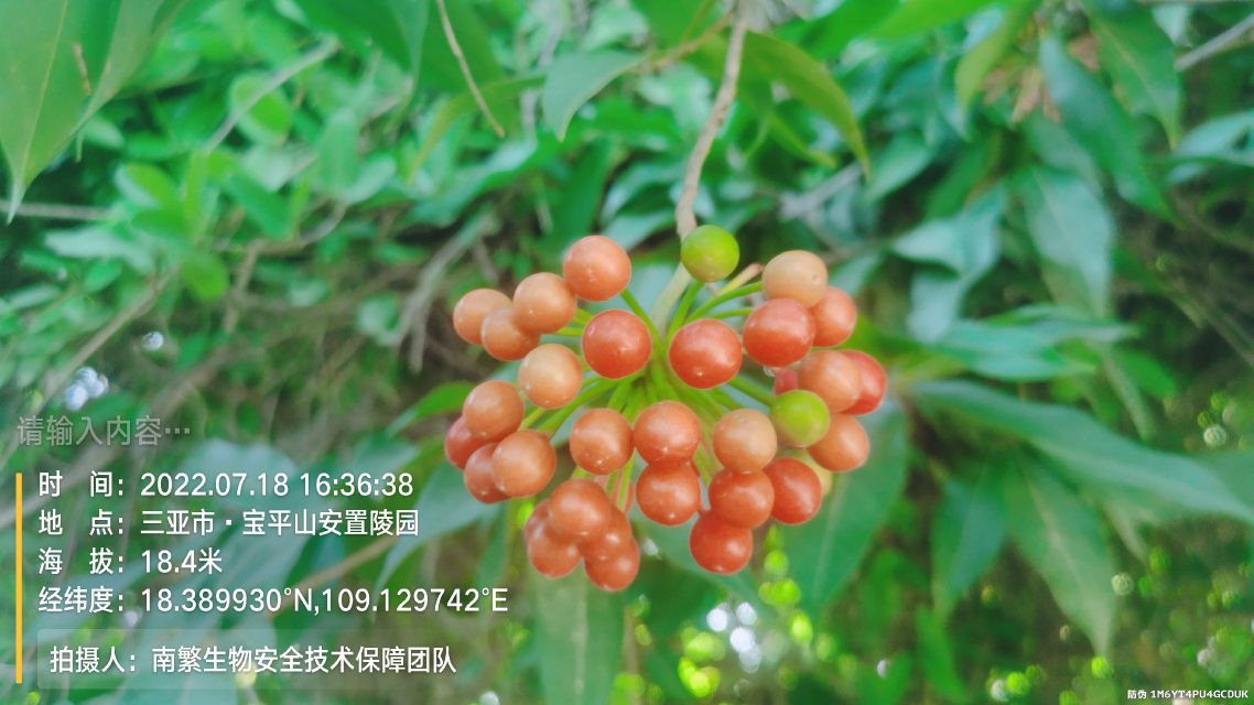 请输入内容…