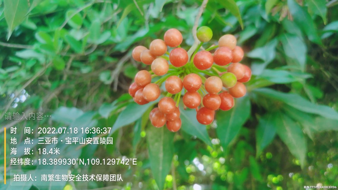 请输入内容…