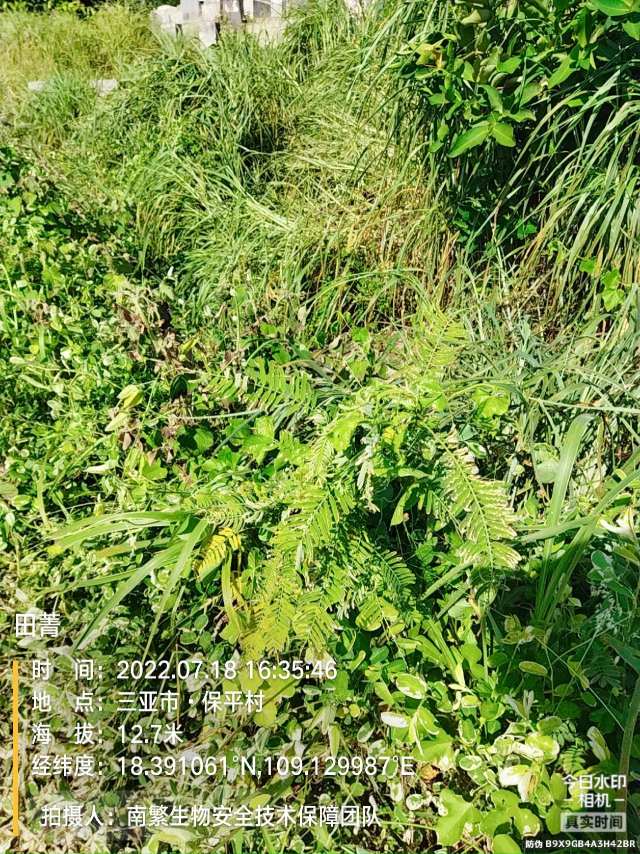 田菁
