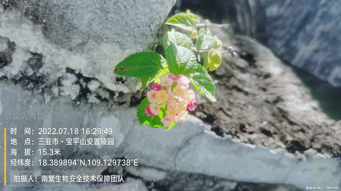 请输入内容…