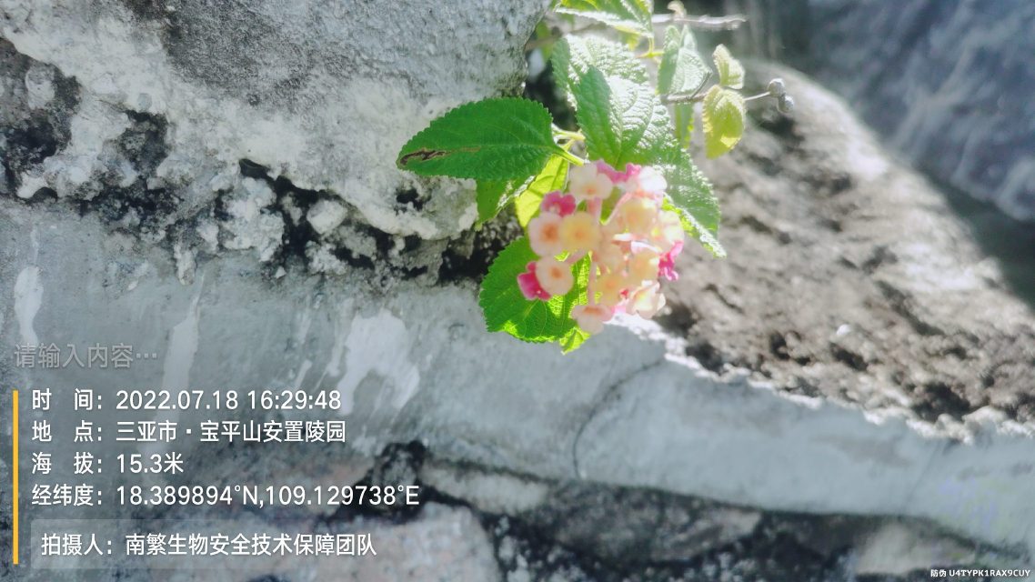 请输入内容…