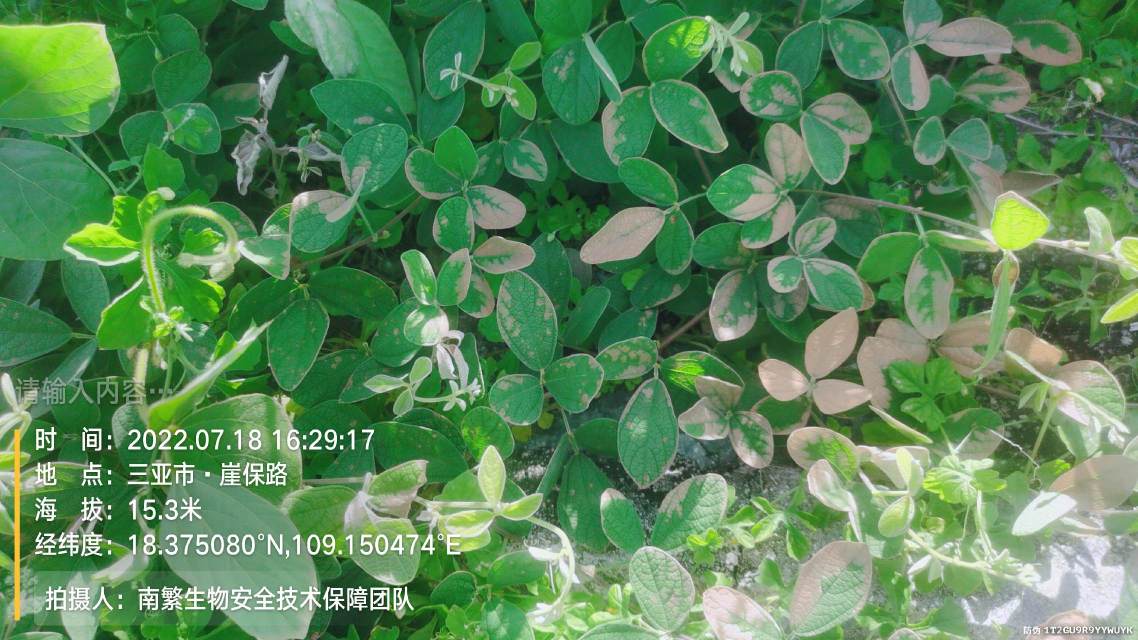 请输入内容…