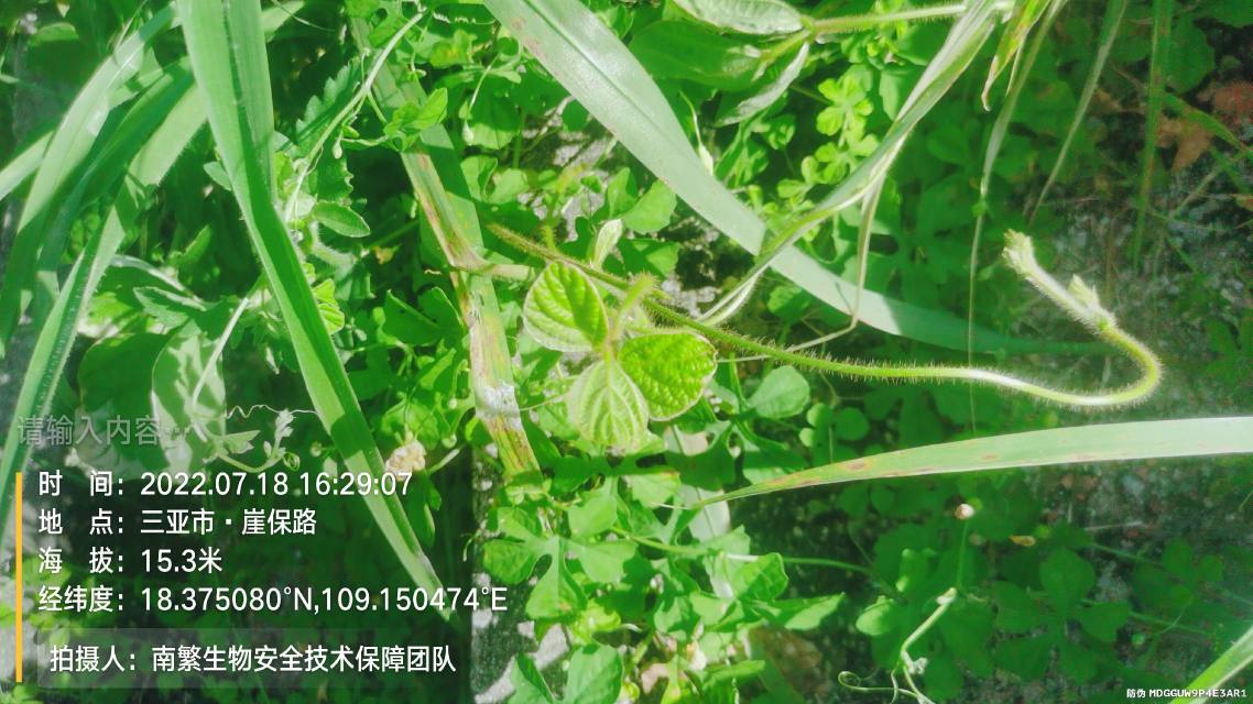 请输入内容…