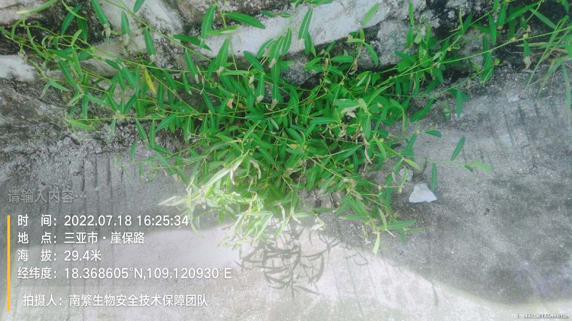 请输入内容…