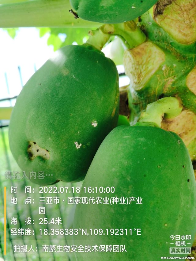 请输入内容…