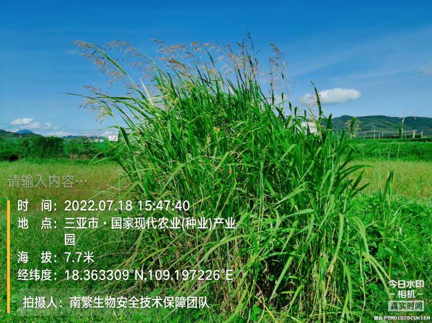 请输入内容…