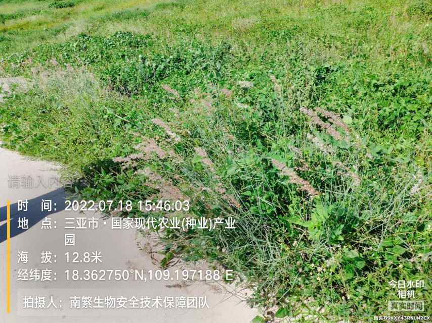 请输入内容…
