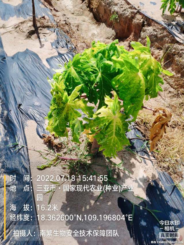 请输入内容…