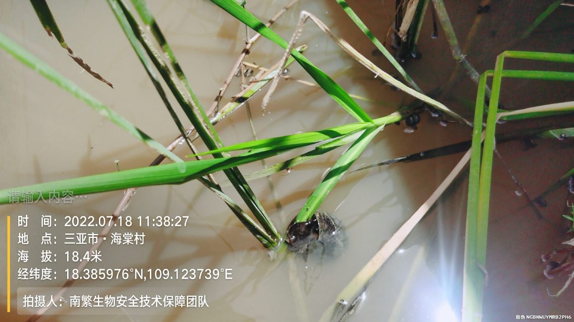 请输入内容…