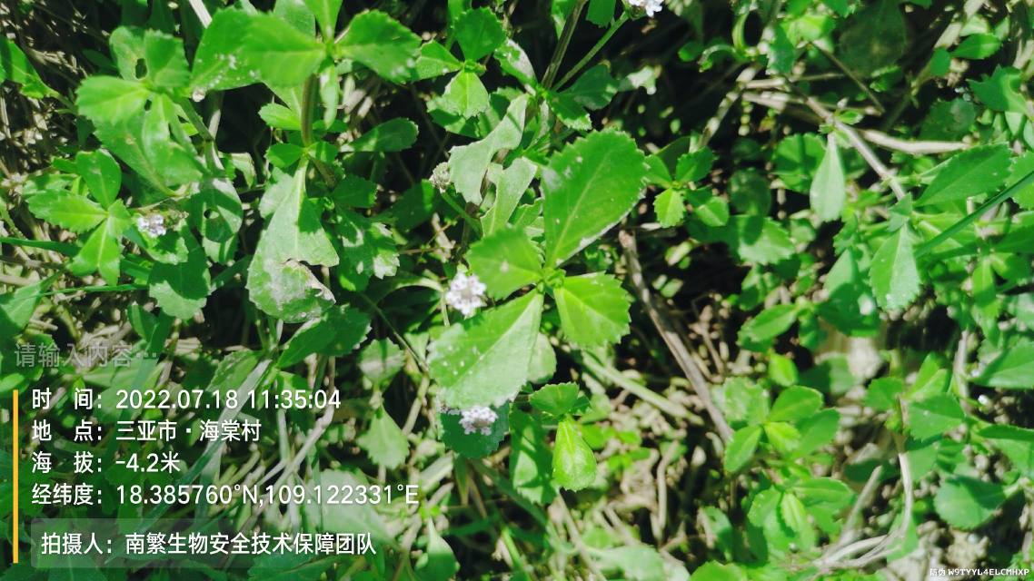 请输入内容…