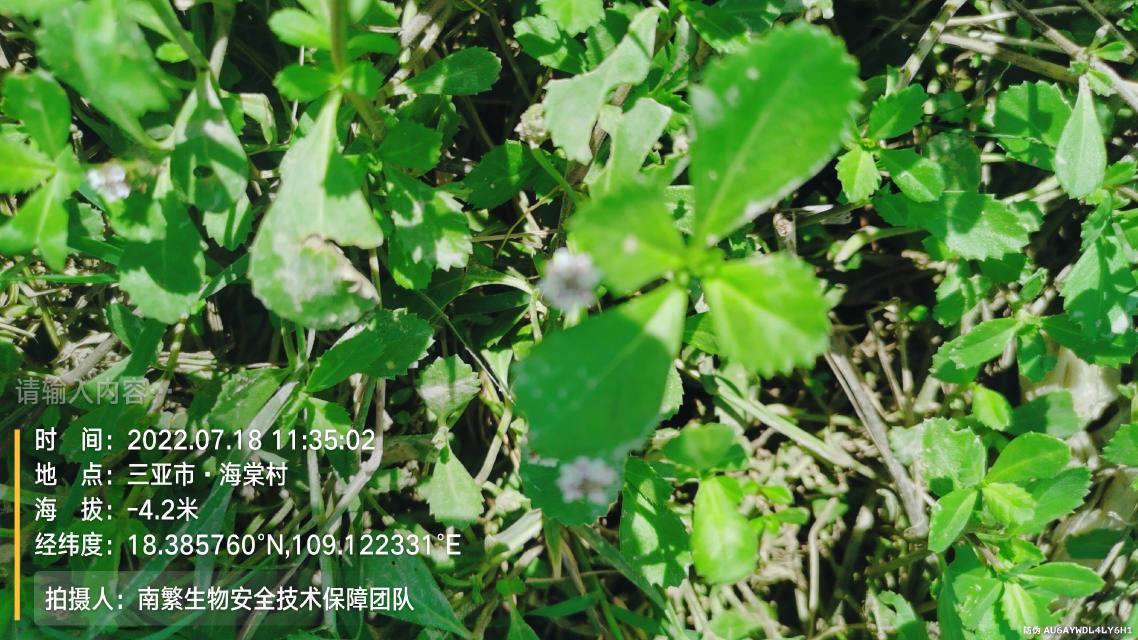 请输入内容…