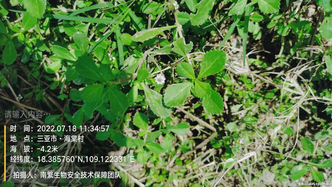 请输入内容…