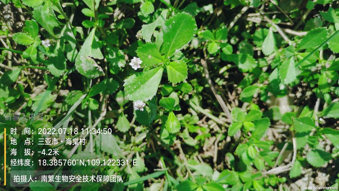 请输入内容…
