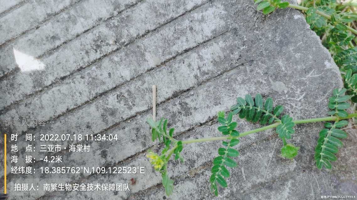 请输入内容…