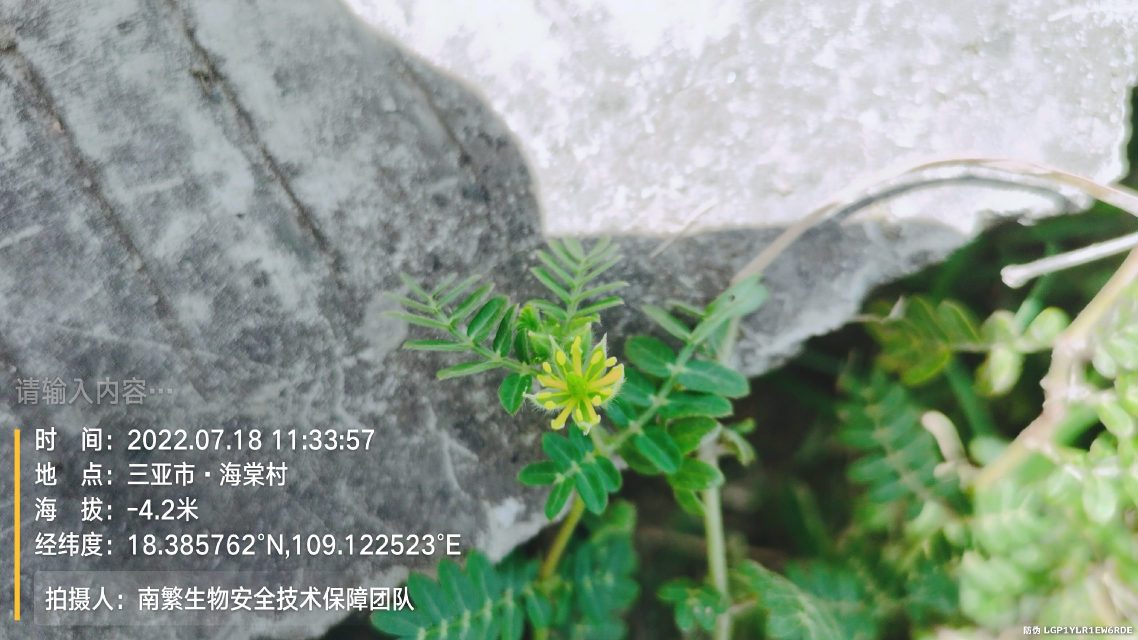 请输入内容…