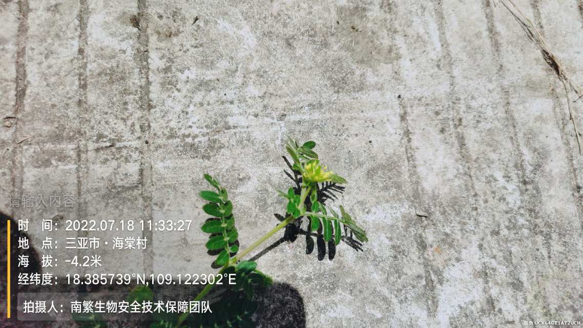请输入内容…