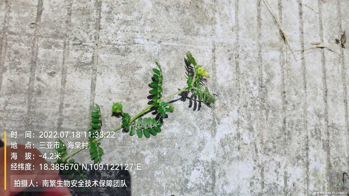 请输入内容…