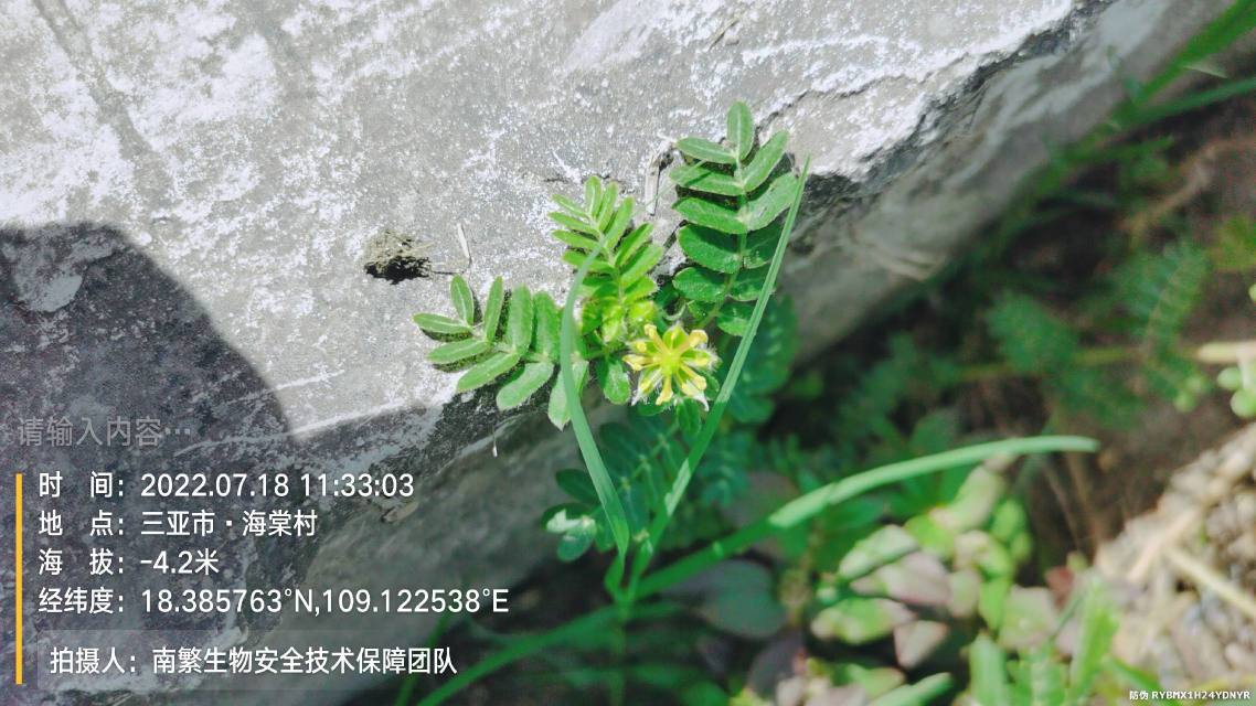 请输入内容…
