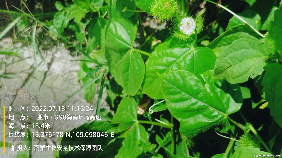 请输入内容…