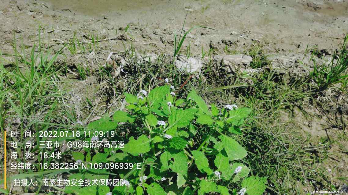 请输入内容…