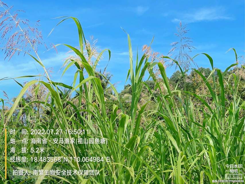 请输入内容…