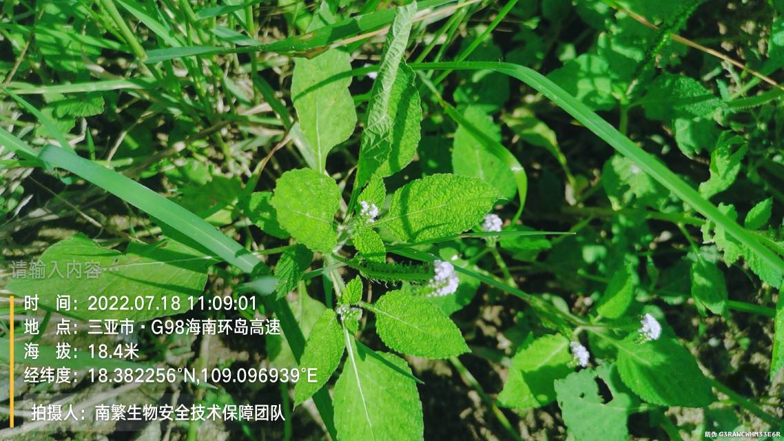 请输入内容…